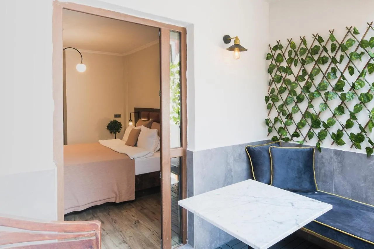 The Wilson Galata Hotel Istanboel 2*,